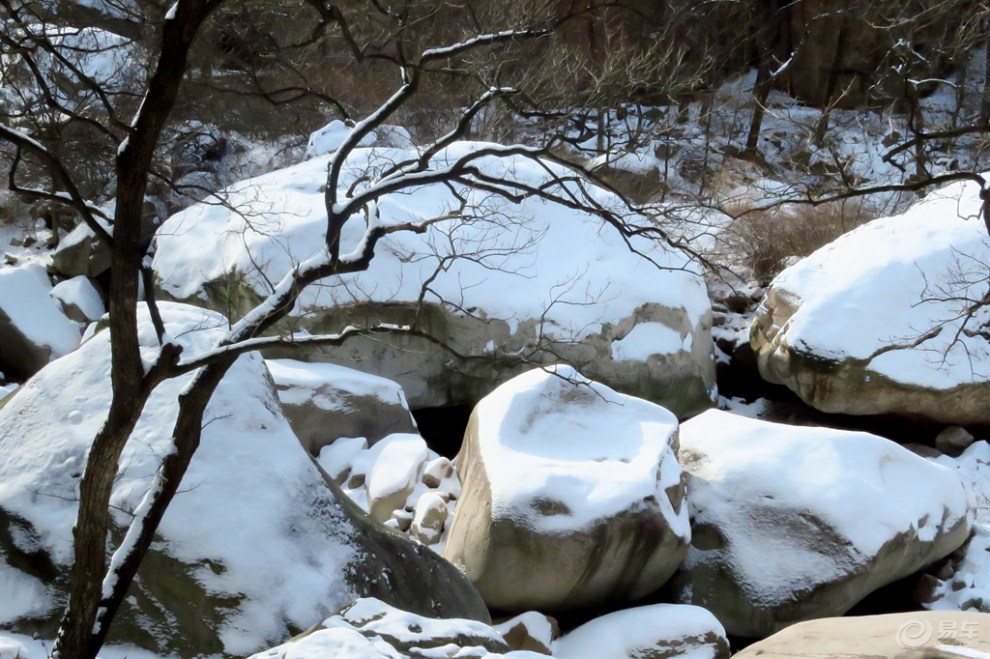 崂山的雪山,雪石,雪松