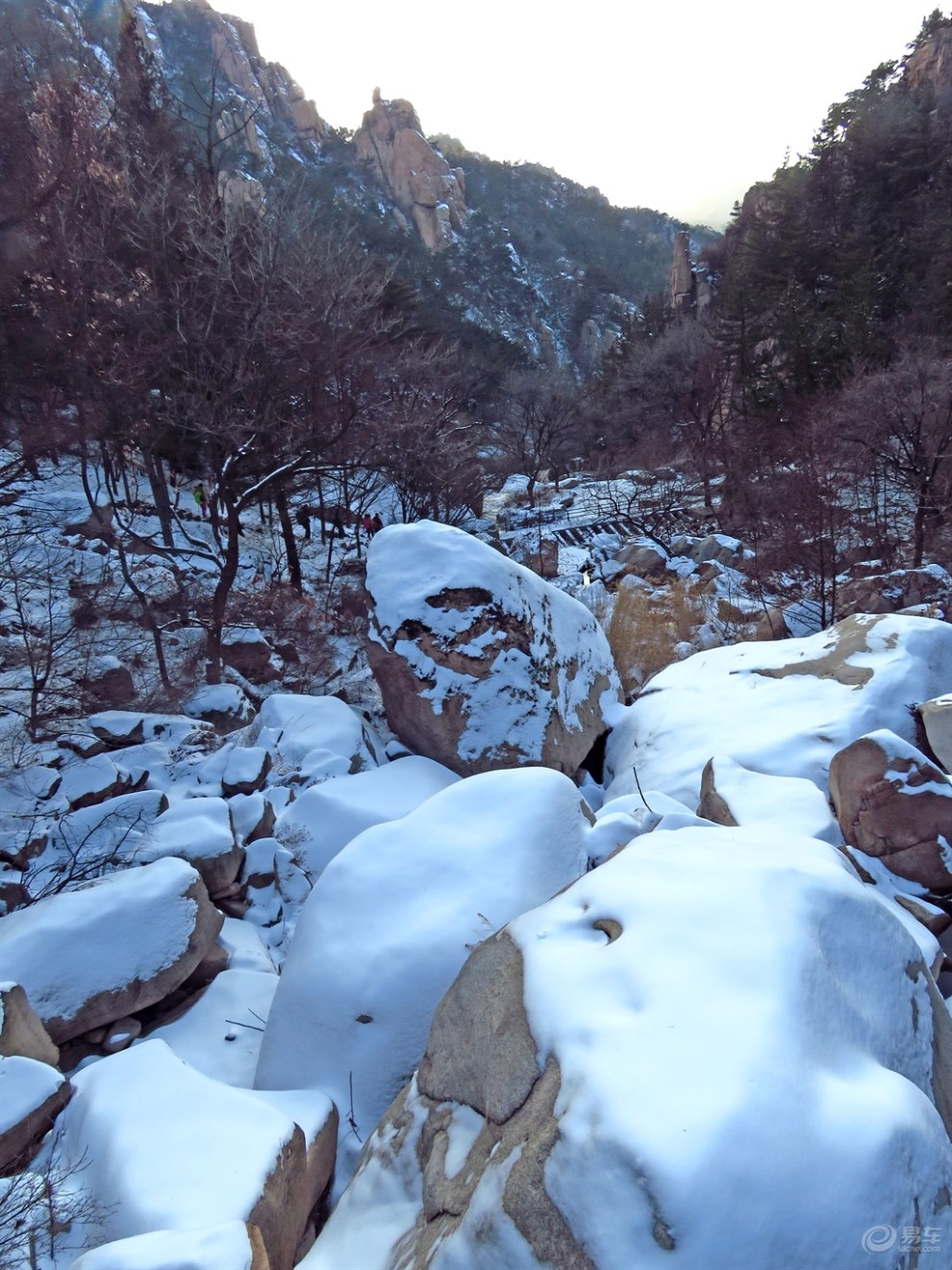 迷人的嶗山雪景