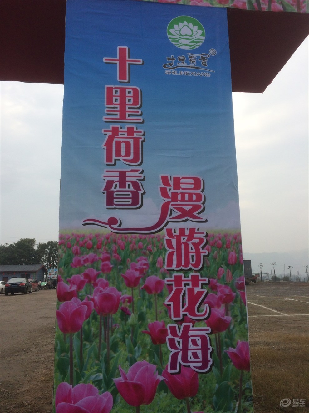 【重庆睿骋车友会】今日暖阳,永川十里荷香行