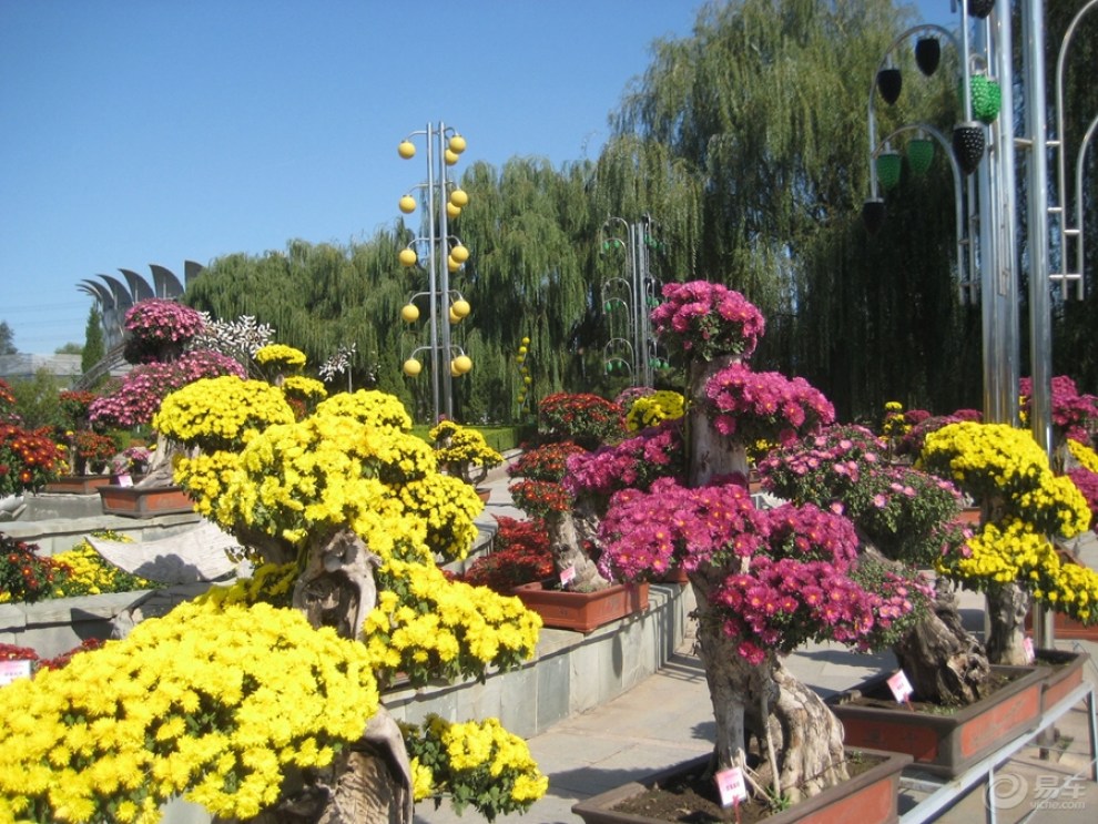 【精華大比拼】北京世界花卉大觀園