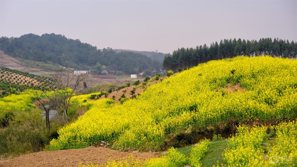 【王者来袭2】【最美乡村之黄竹村】