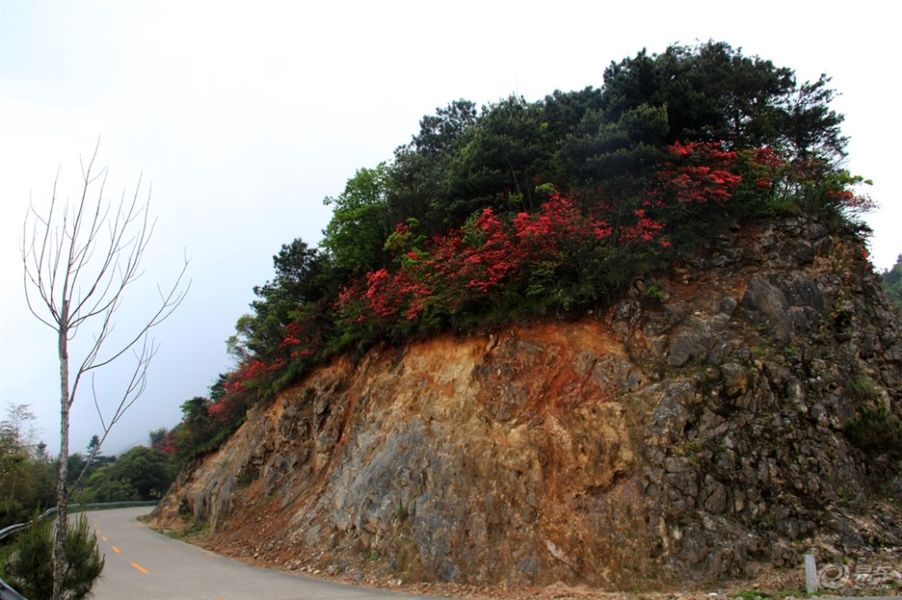 藍山縣湘江源戶外運動協會陽明山之行