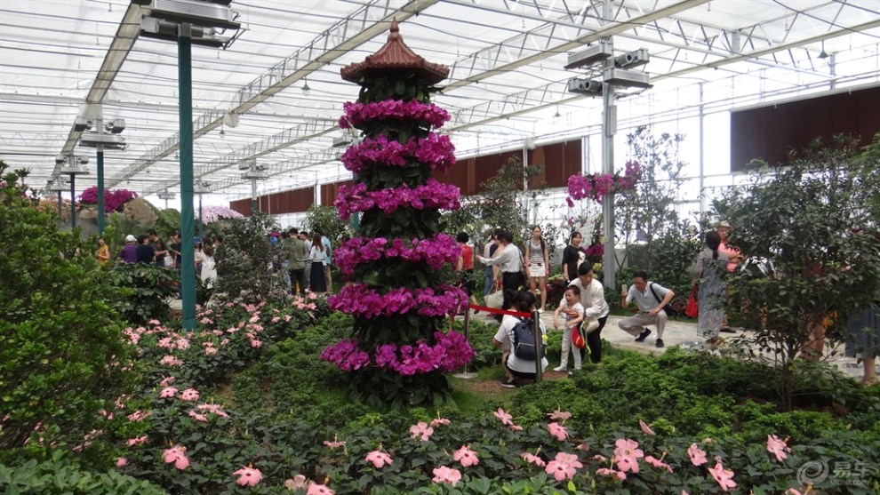 【童年印象】花博会上的蝴蝶精灵