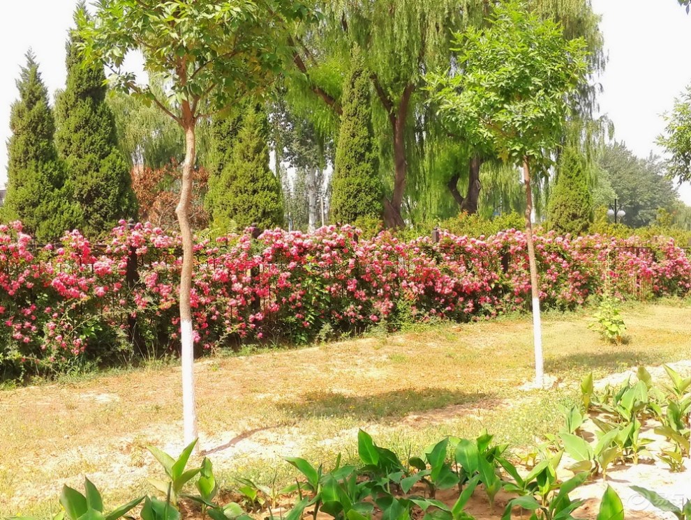 【自驾游记】休闲游北潞园健身公园