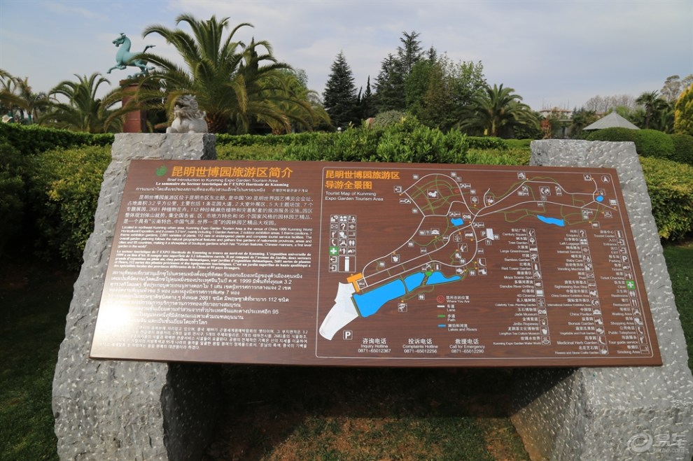 昆明世博园的花花草草!