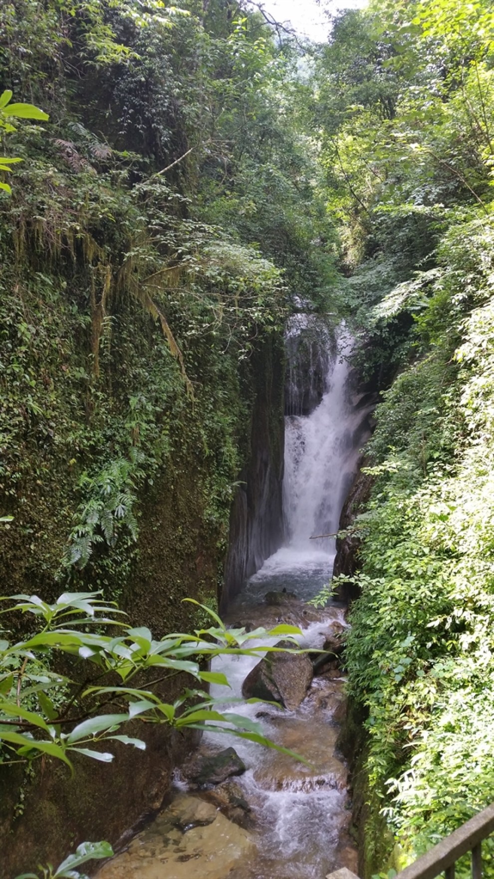 遊覽於天地間,忘情于山水中,我自悠然