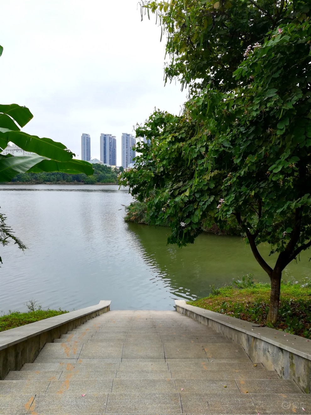 【广西壹家人车友会 】水青柳绿花美——相思湖公园