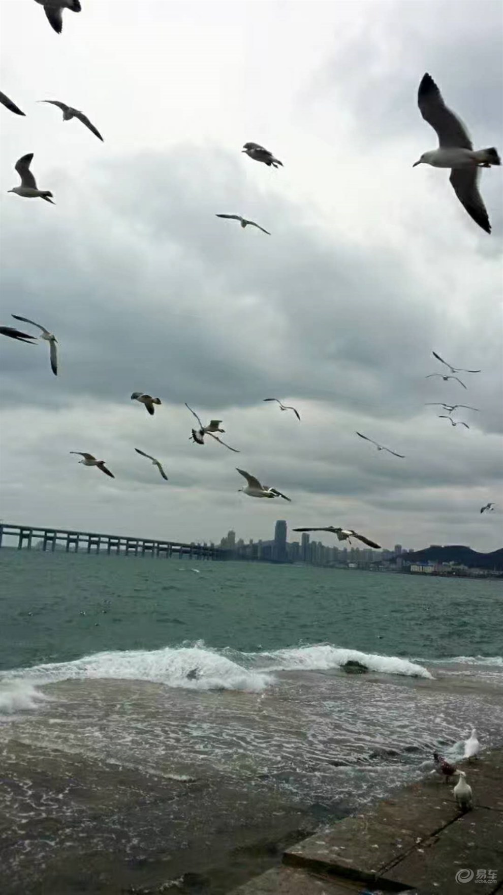 引以为傲的地方之大连,大海