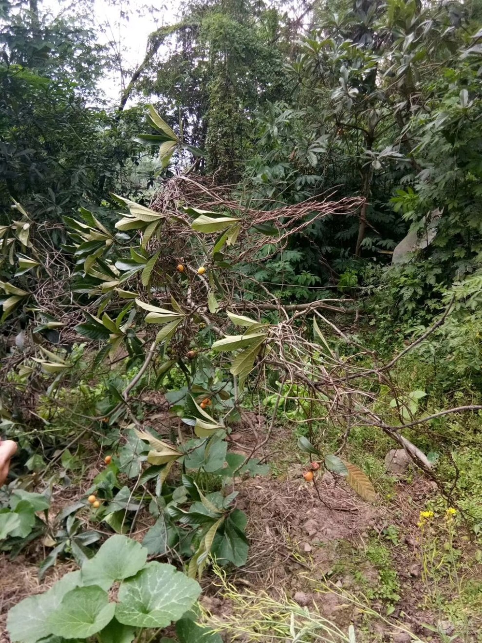 茫茫人海中,遇上你是我缘