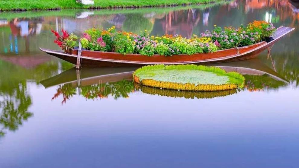 美丽的花船