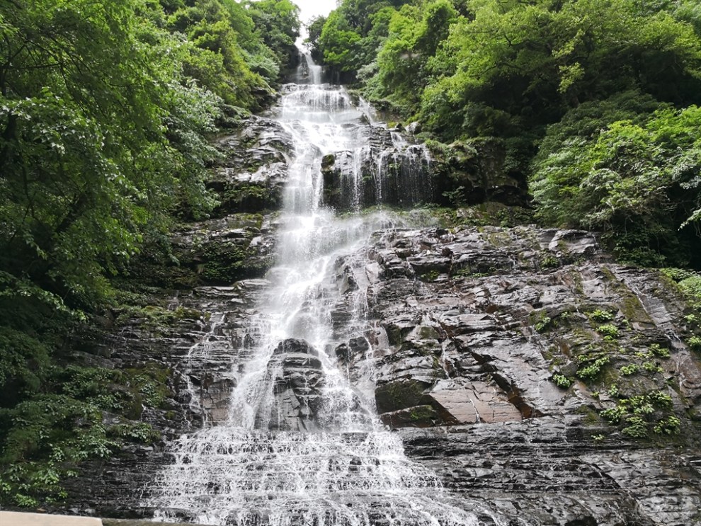 【四川長安suv聯盟】大象 遊覽我國曆史文化名山瓦屋山