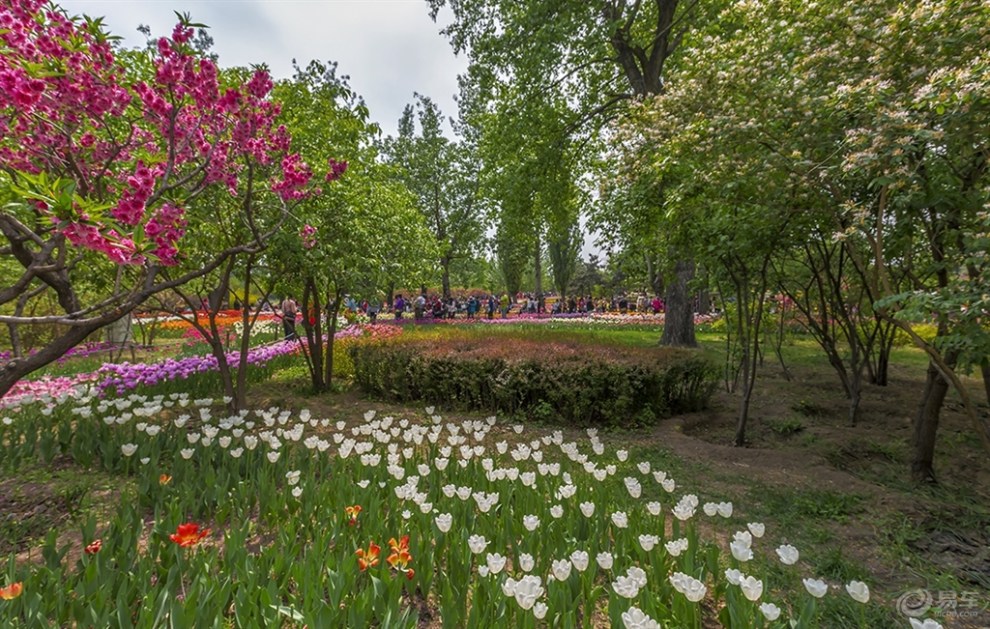 北京植物園