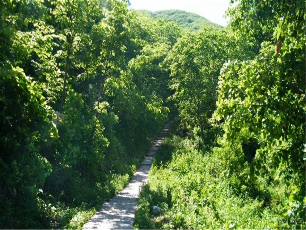 【吉林市長安車友會】登頂磨盤山