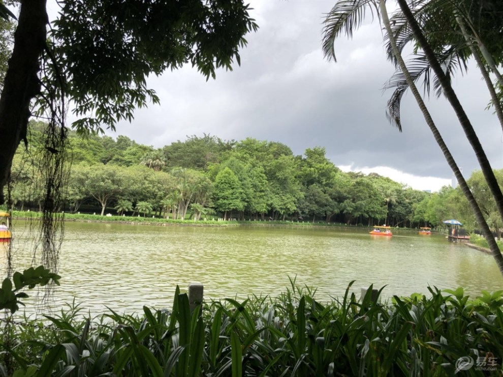 【深圳長安車友會】580曉明 遊充滿文化氣息筆架山公園