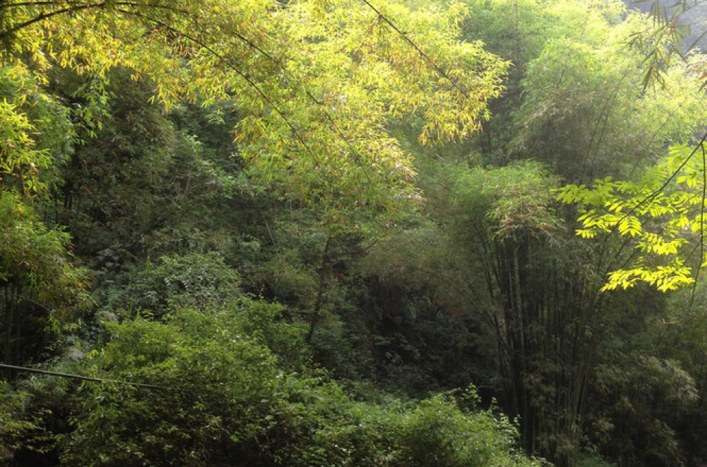 车友带你游成都金鸡沟