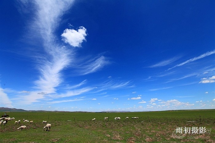 蓝蓝的天上白云飘,白云下面羊儿跑