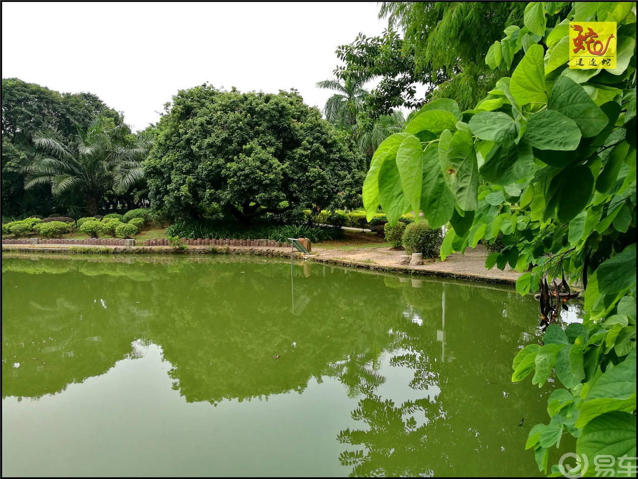 小遊深圳前海新區蛇口四海公園