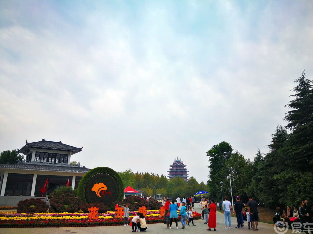【中原金秋,易很精彩】游在水杉公园,美哉花开盛世
