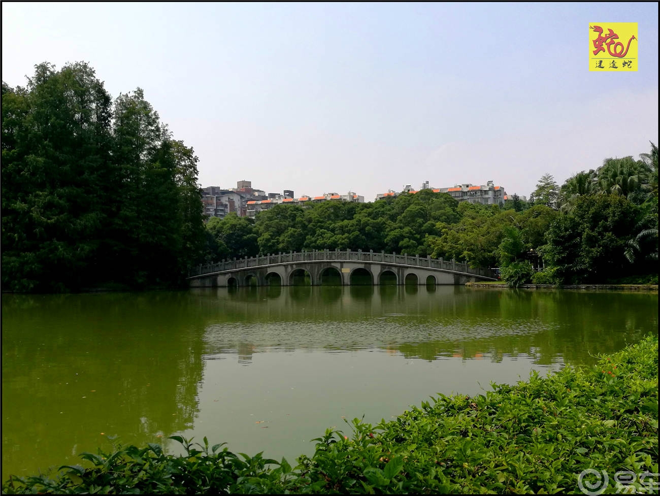 小遊深圳前海新區蛇口四海公園