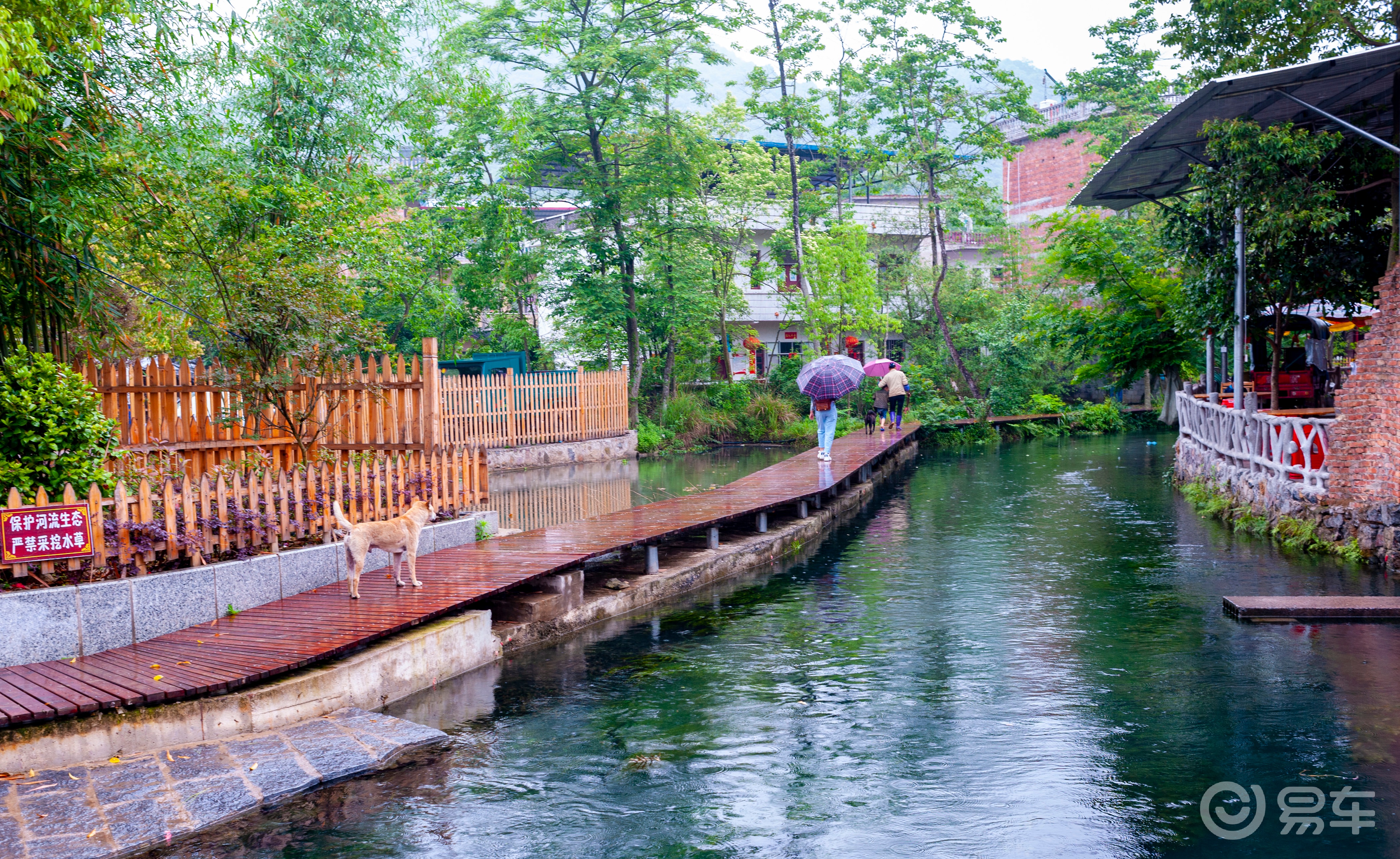 安和龙井村桂林的小九寨沟